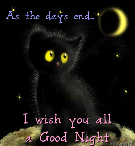 Wishing You All A Warm Good Night!