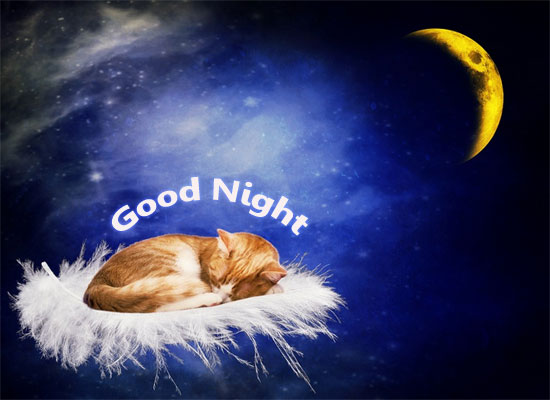 Cutie Good Night. Free Good Night eCards, Greeting Cards | 123 Greetings