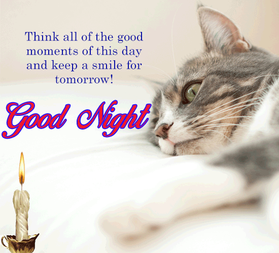 Pussy Cat Wishes Good Night.