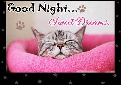 A Cute Good Night Card For You. Free Good Night eCards, Greeting Cards ...
