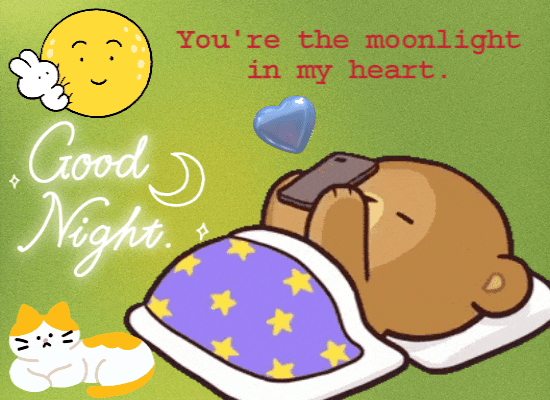 You’Re The Moonlight In My Heart.