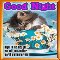 Kitty Good Night.