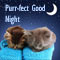 Purr-fect Good Night Wishes!