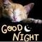 Cute Good Night Card.
