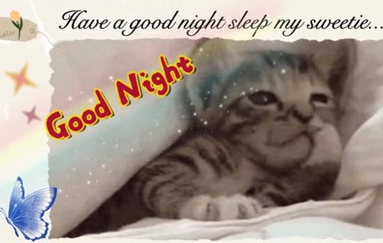 Good Night My Sweetie. Free Good Night eCards, Greeting Cards | 123 ...