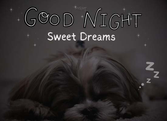 Adorable Good Night Card. Free Good Night eCards, Greeting Cards | 123 ...