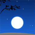 Moonlit Night!