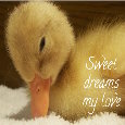 Sweet Dreams To The One You Love.