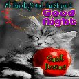 Everyday Good Night Cards, Free Everyday Good Night Wishes | 123 Greetings