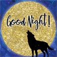 Good Night Wolf.