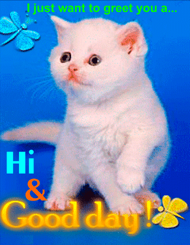 Hi And Good Day!