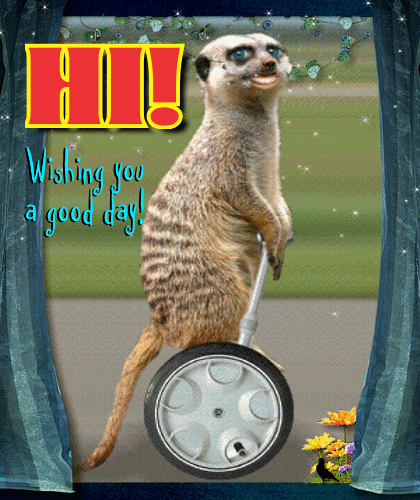 A Nice Hi Greeting Card!