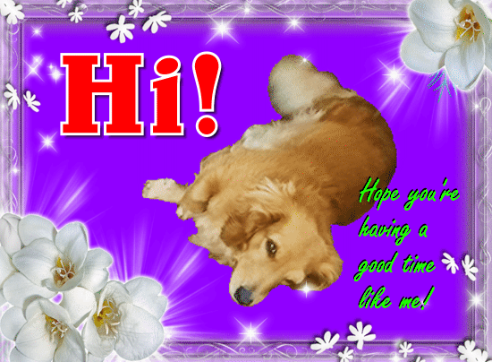 Weiner Dog Wants To Say Hi.