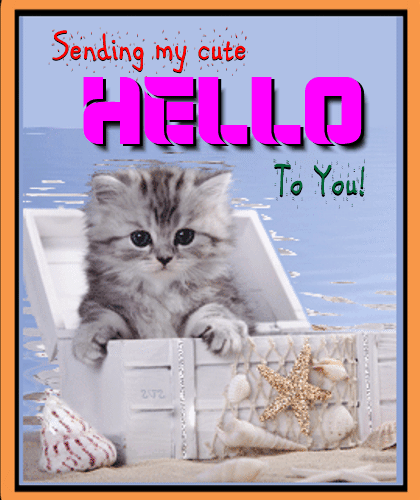 A Cute Cat Greeting You Hello.