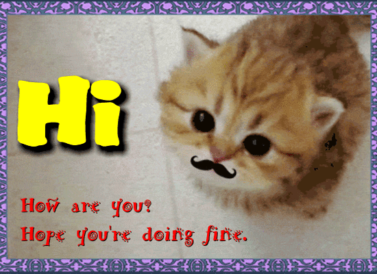 A Cute And Funny Kitten Says Hi.