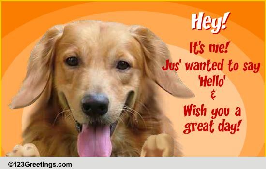 A Groovy Hello! Free Hi eCards, Greeting Cards | 123 Greetings