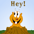 Came Up To Say Hey!