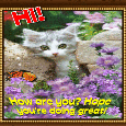 Hi Ecard!