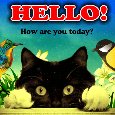 A Cute Hello Card For Someone.