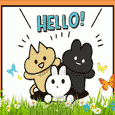 A Cute Hello Card For You.