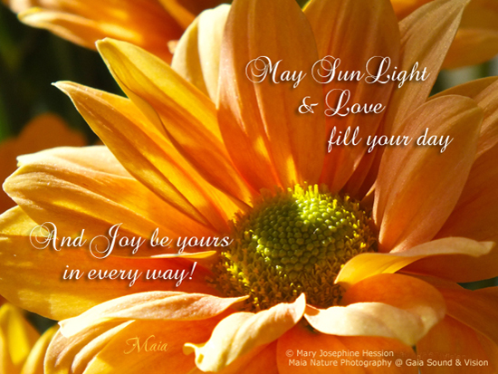 May Your Day Be Filled With Sunshine.