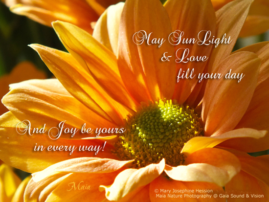 May Your Day Be Filled With Sunshine. Free Have a Great Day eCards