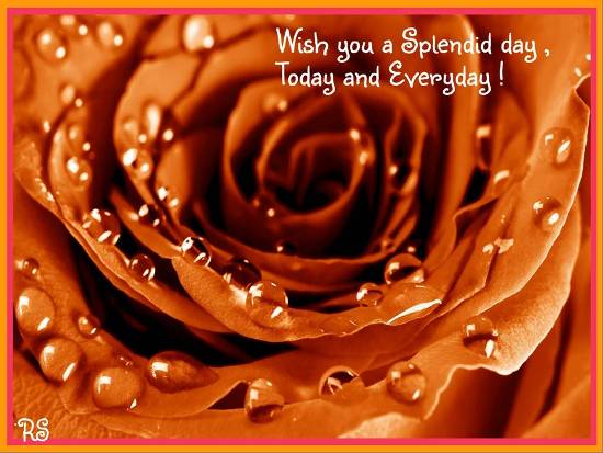 Wish You A Splendid Day. Free Have a Great Day eCards, Greeting Cards ...