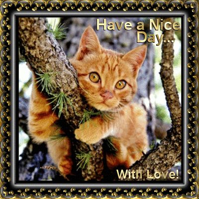 A Nice Day For You...