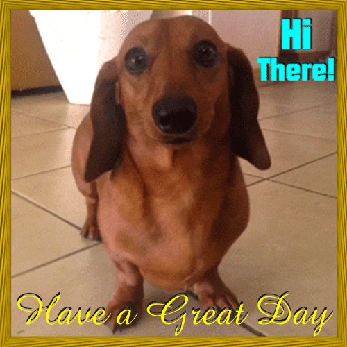 Weiner Wants To Have A Great Day!