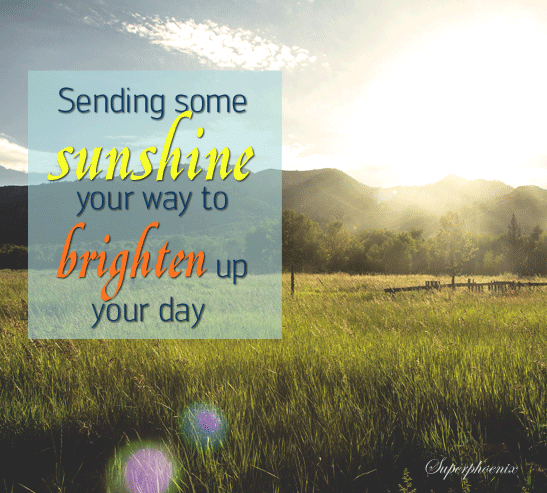 A Little Sunshine For A Pleasant Day.