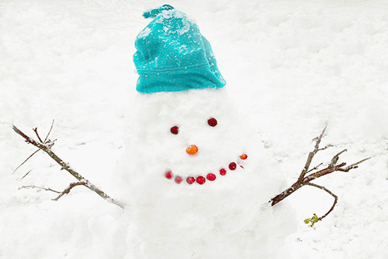 Have A Great Day Happy Winter Snowman.