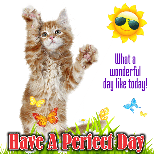 A Nice And Perfect Day E-card.