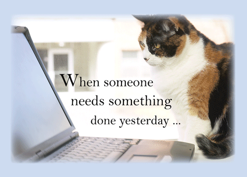 Have A Good Day Cat On Computer.