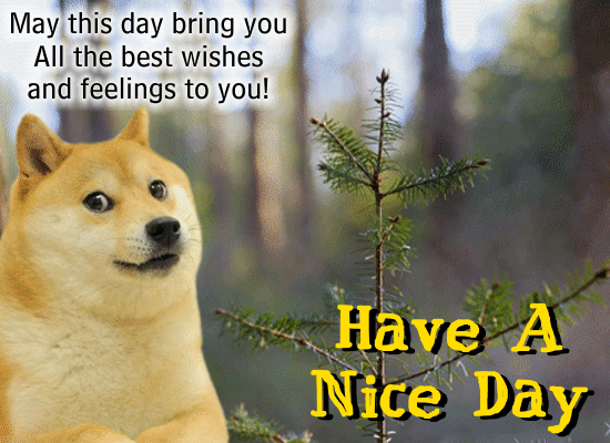 A Nice Day Card For You.