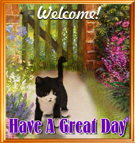 Nice Kitty Wants To Have A Great Day.