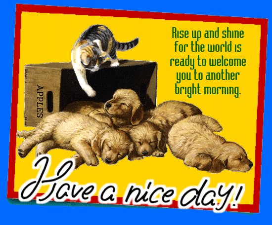 A Very Cute Nice Day Ecard For You.