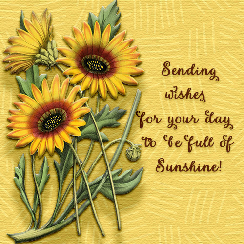 May Your Day Be Full Of Sunshine.