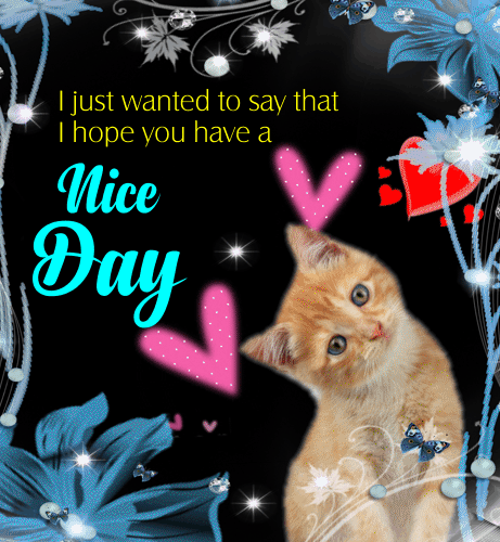 Hope You Have A Nice Day.