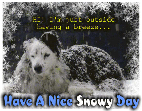 Doggy Wants To Have A Nice Snowy Day
