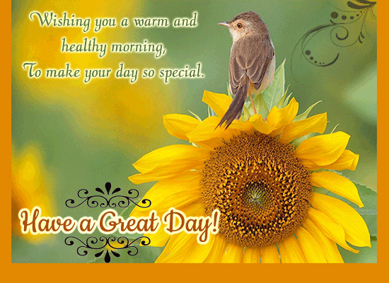 Morning Sunshine Free Have A Great Day Ecards Greeting Cards 123