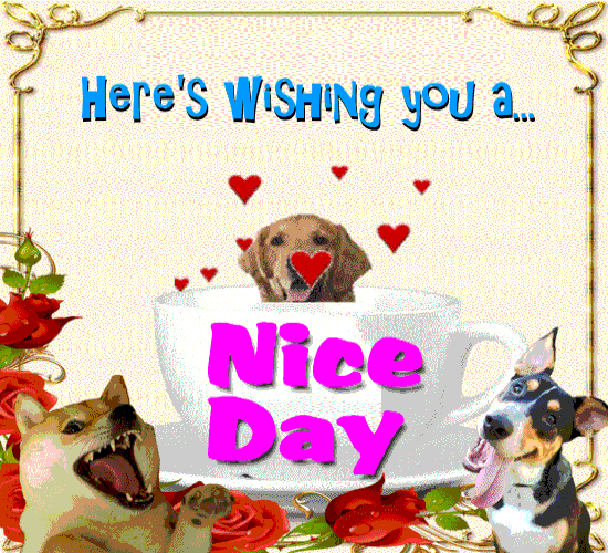 Wishing You A Nice Day