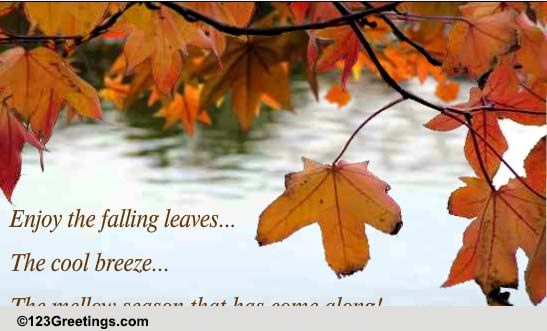 Enjoy The Mellow Season!