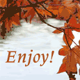 Enjoy The Mellow Season!