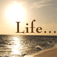 Phases Of Life!