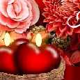 Wish To Brighten Your Day!
