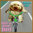 Doggy Having A Great Day!