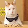 Cool Cat Has A Great Day.