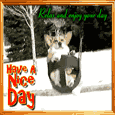 Doggy Having A Nice Day!