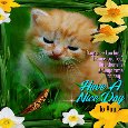 A Nice Day To You...