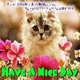 Your Day Is Going To Shine.